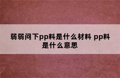 弱弱问下pp料是什么材料 pp料是什么意思